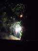 lightingthenightsky_small.jpg