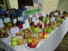 somanyvarietiesofapples_small.jpg