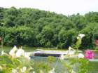 takeaboattriponthelake_small.jpg