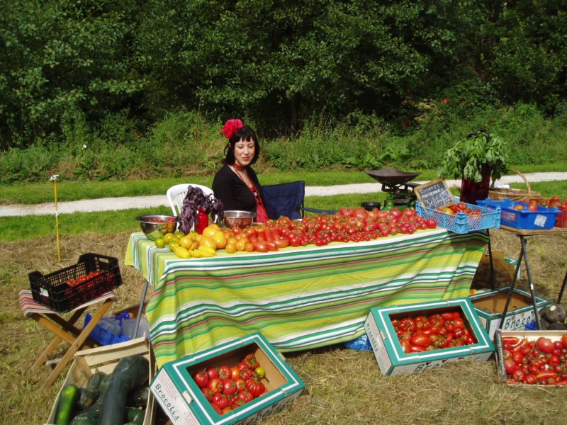vegetablegardenfete.jpg
