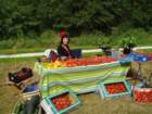 vegetablegardenfete_small.jpg