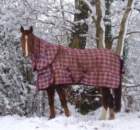 allruggeduptokeepwarm_small.jpg
