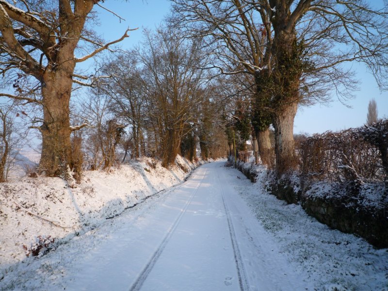winterslane.jpg