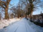 winterslane_small.jpg